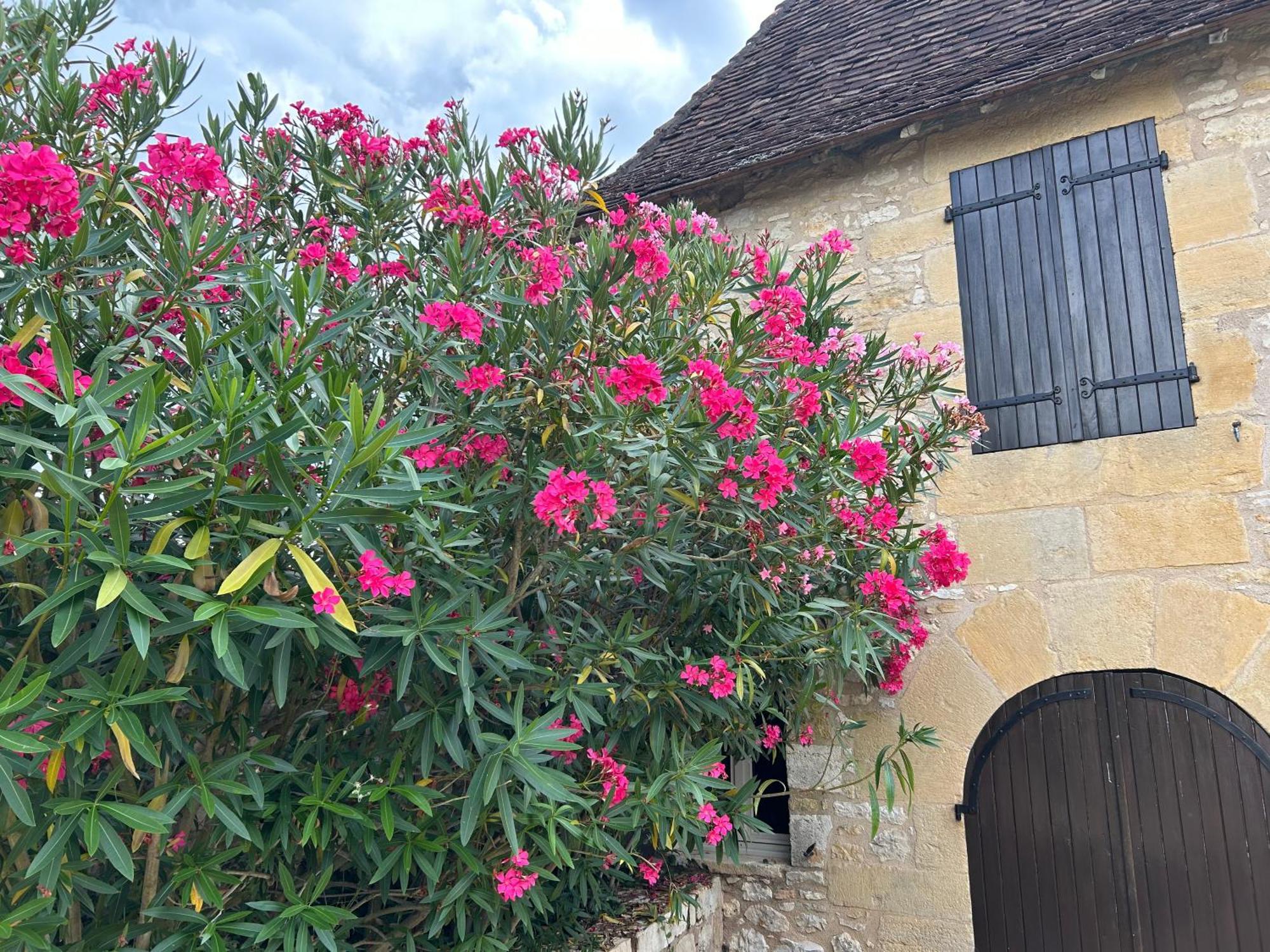 Demeure Du Vallon - Chambres D'Hotes De Charme Azerat ภายนอก รูปภาพ